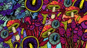 hongos echele cabeza