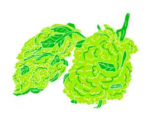 CANNABIS, WAX Y OTRAS EXTRACCIONES: LÉASE BIEN ANTES DE USAR 3 WAX ilust 2