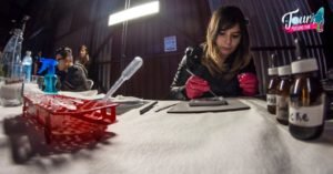 24313419 1463863130378147 7123245409457095860 o