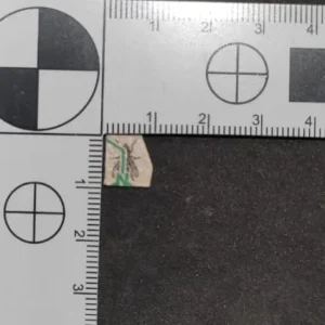 Alertas Psicoactivas 5 alerta lsd