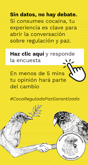 Encuesta a consumidores sobre legalización de la coca.