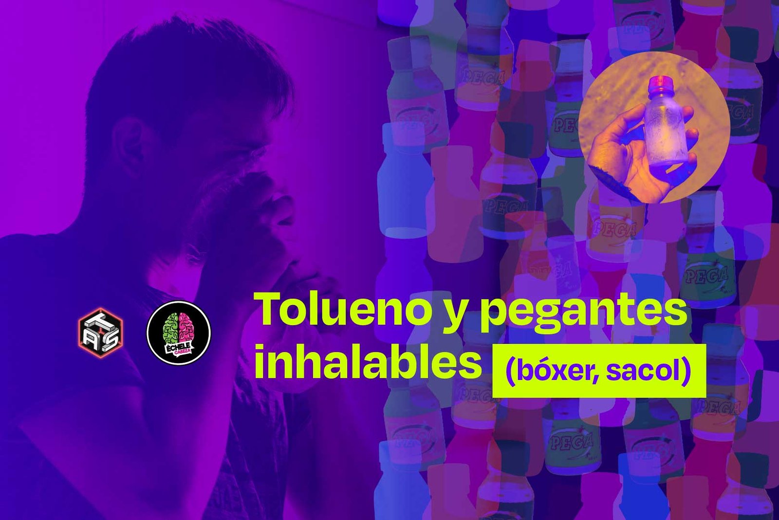 Inicio 6 Bover Web