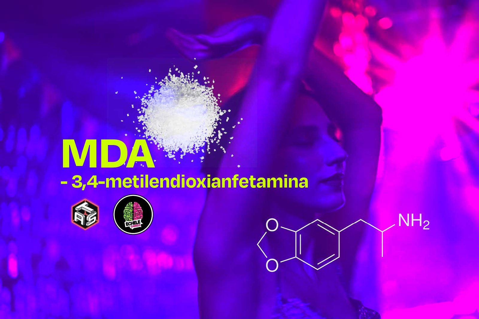 MDA Web