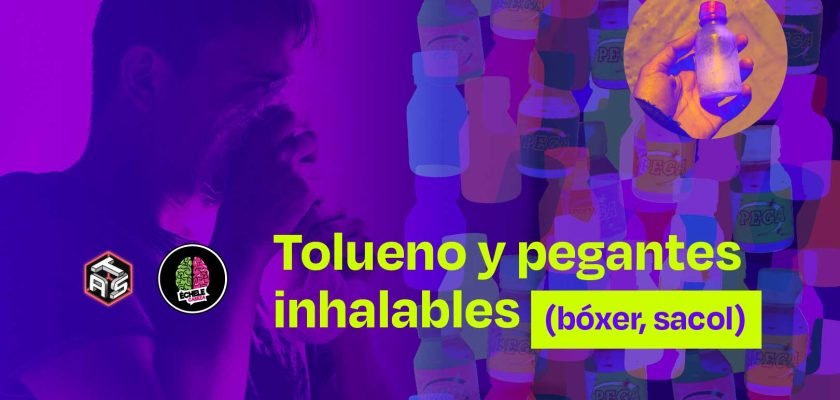 Bover_Web