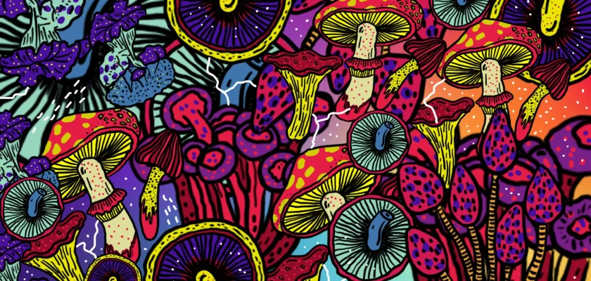 hongos-echele-cabeza