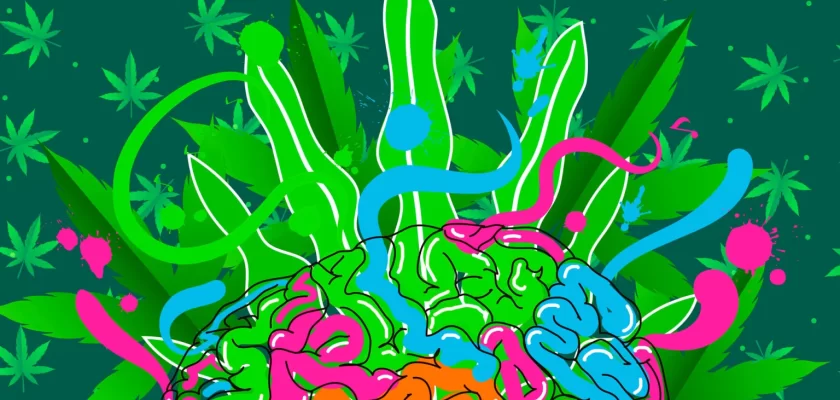 la-marihuana-y-el-cerebro-de-uso-recreativo-al-abuso
