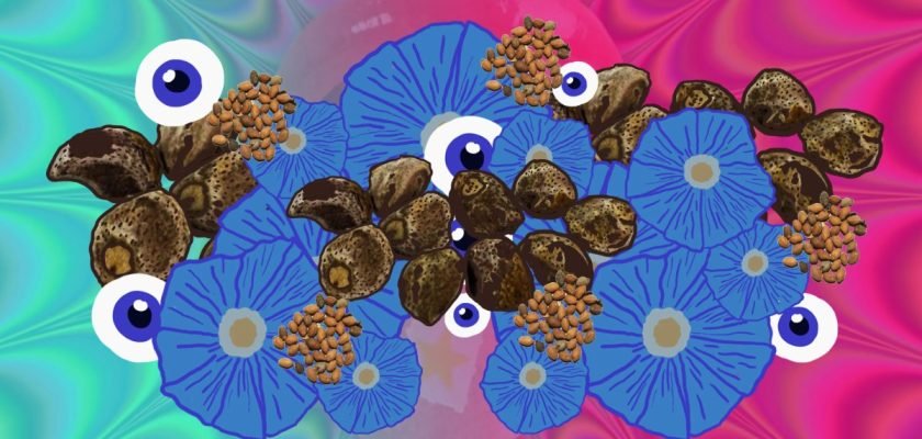 lsa-amida-de-acido-d-lisergico-ergina-la-111