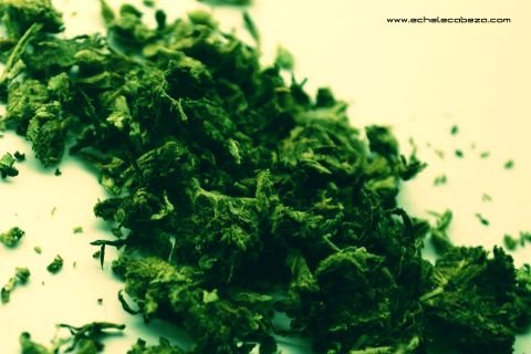 marihuana-detalle-tag