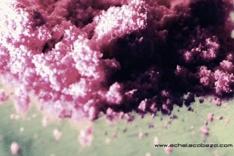 2cb-desaturate-tag