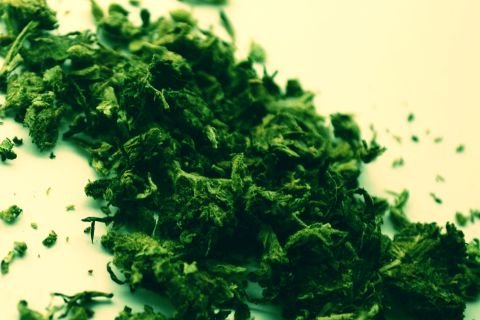 marihuana-2-by-vlado-montes
